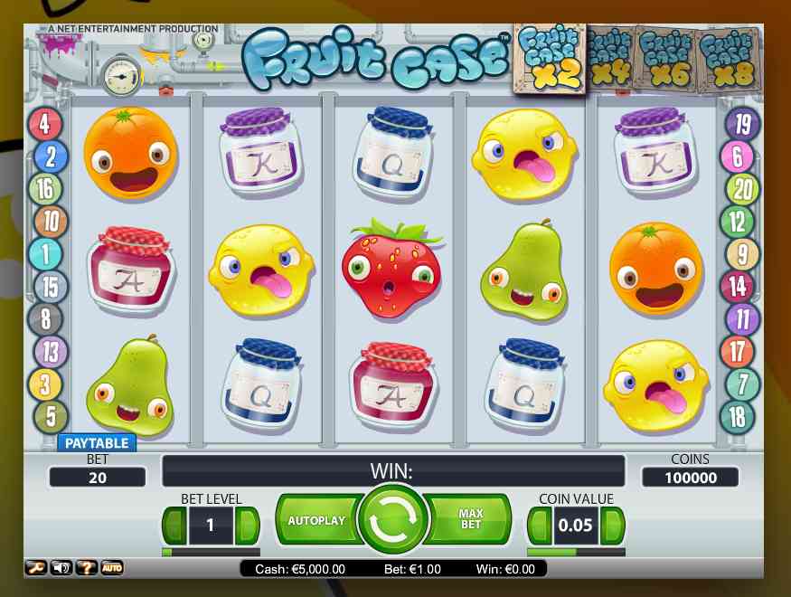 Fruit Case
